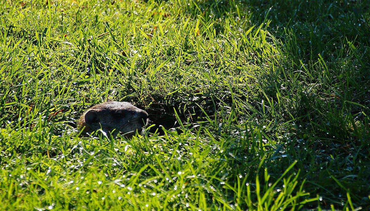 ���� ���������� ����� �������  �� PhotoGeek.ru #�������� ���