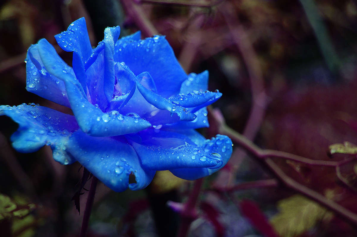 ��������� ���� ����� �������  �� PhotoGeek.ru #������ ��� �������