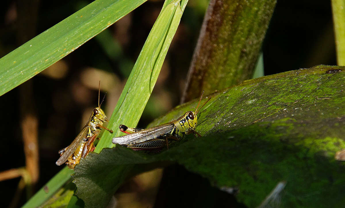 ������� ����� �������  �� PhotoGeek.ru #�������� ���