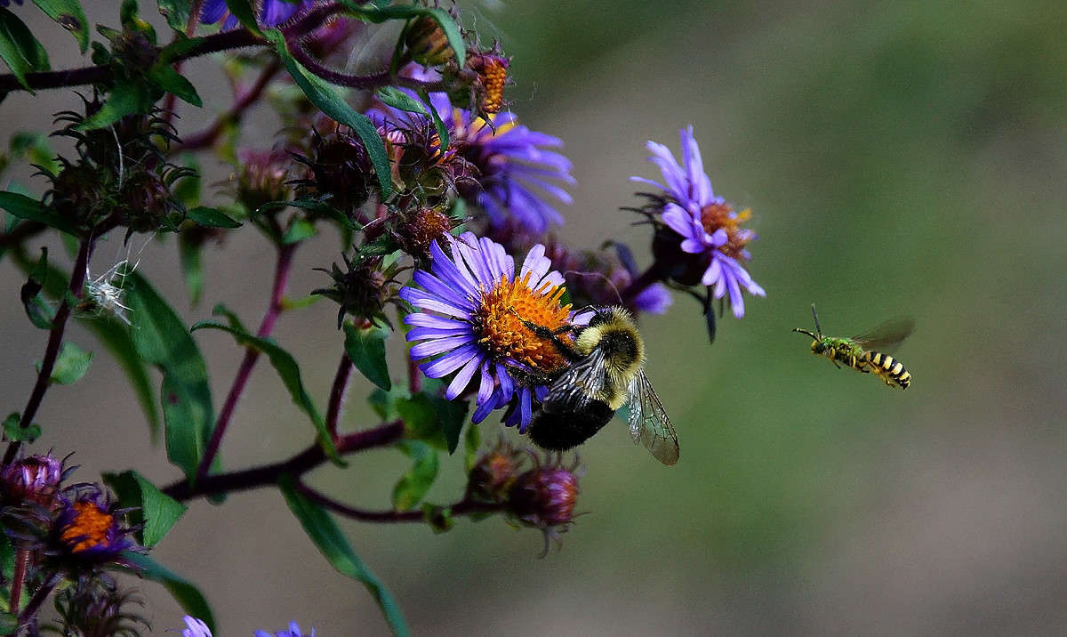 ������� ���� �� ����� ���� ����� �������  �� PhotoGeek.ru #������ ��� �������