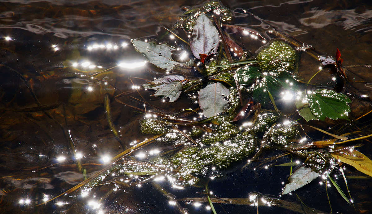 ������ ���� ����� �������  �� PhotoGeek.ru #������ ��� �������