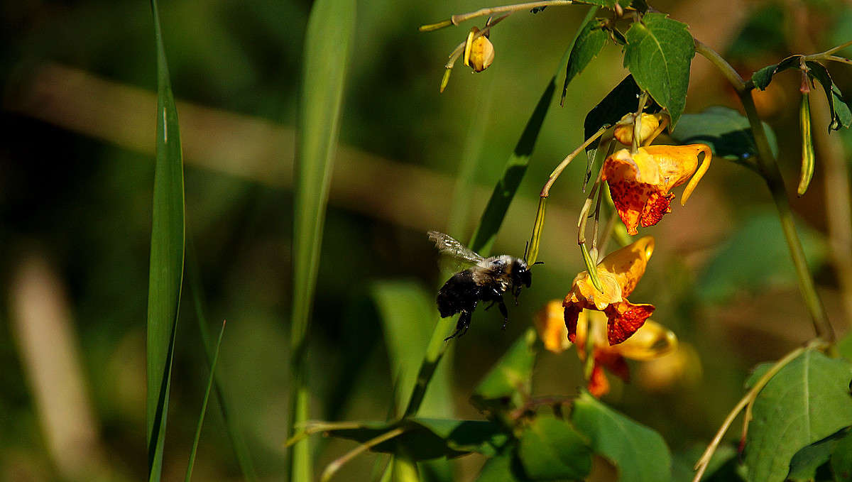 ����� ������� ����� �������  �� PhotoGeek.ru #������ ��� �������