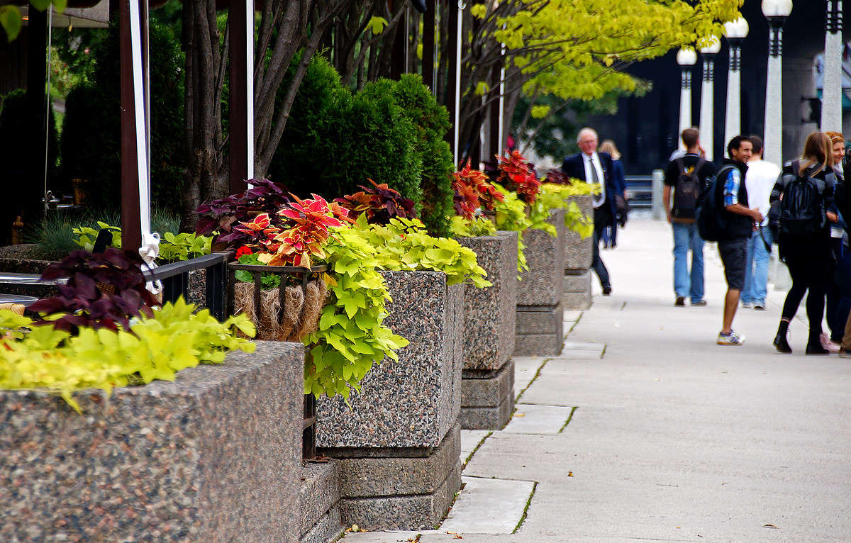 ������ ������ � ���� ����� �������  �� PhotoGeek.ru #�����