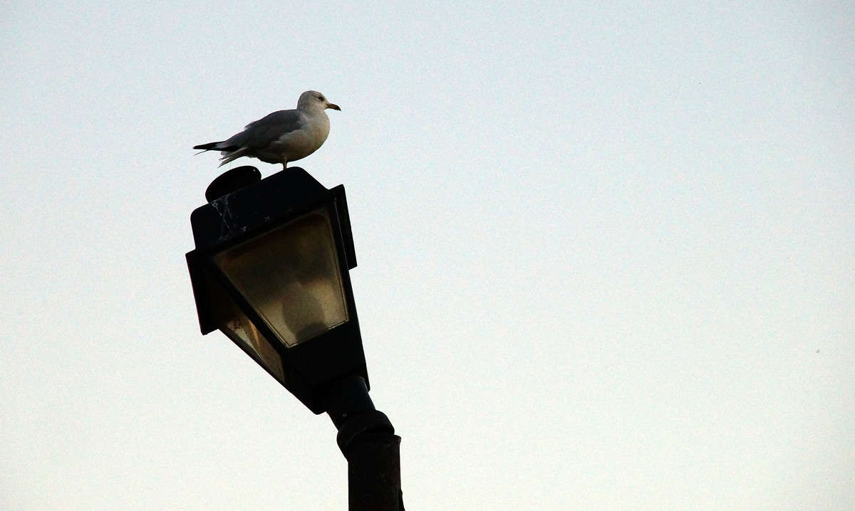 ��������� ����� �������  �� PhotoGeek.ru #�������� ���