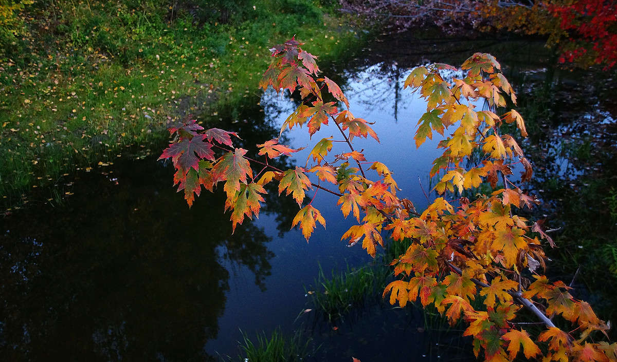 ����� ������ ����� �������  �� PhotoGeek.ru #������ ��� �������