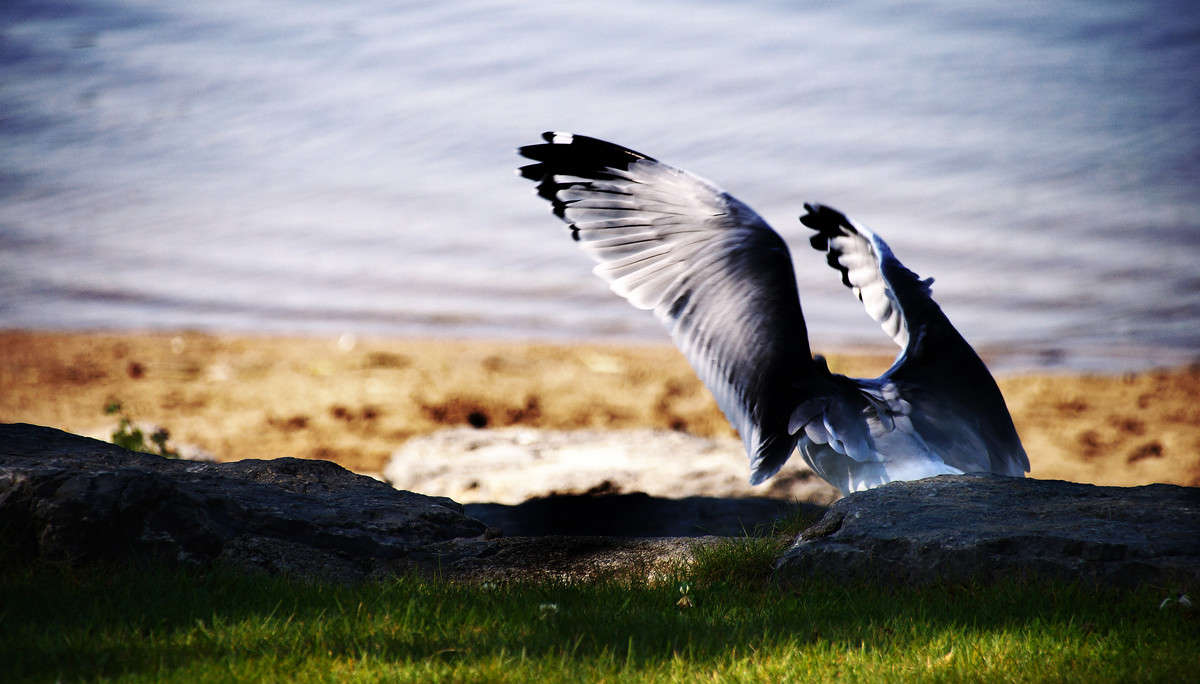 �� ����� � ��� ����� �������  �� PhotoGeek.ru #������ ��� �������