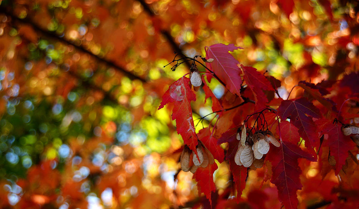 ������� ����� �������  �� PhotoGeek.ru #������ ��� �������