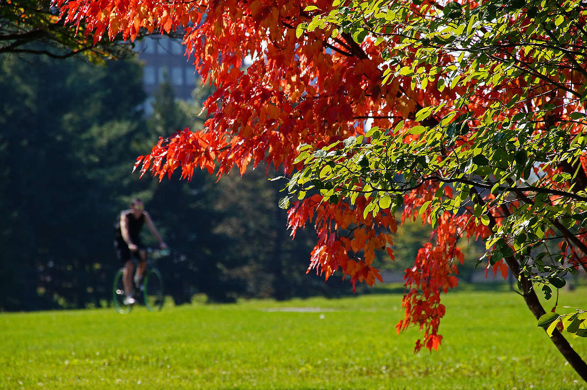 ���� �� ����� ���� ������� ����� ����� �������  �� PhotoGeek.ru #�����