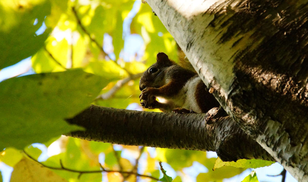 ����� � ��� ���� ����������� ����� �������  �� PhotoGeek.ru #�������� ���