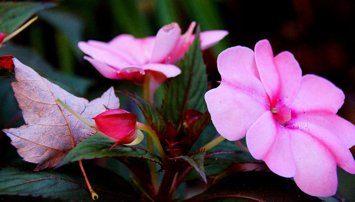 �� ������� ��� ����� ����� �������  �� PhotoGeek.ru #������ ��� �������