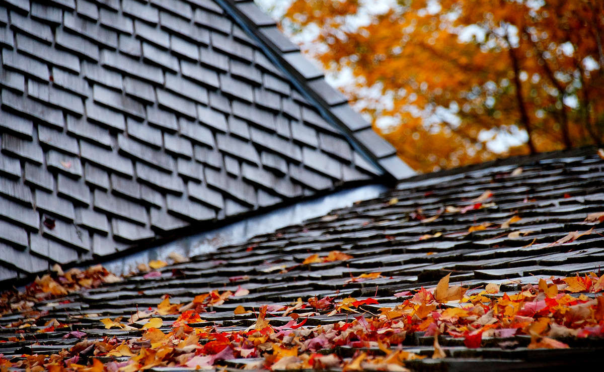 �������� ������� ����� �������  �� PhotoGeek.ru #�����