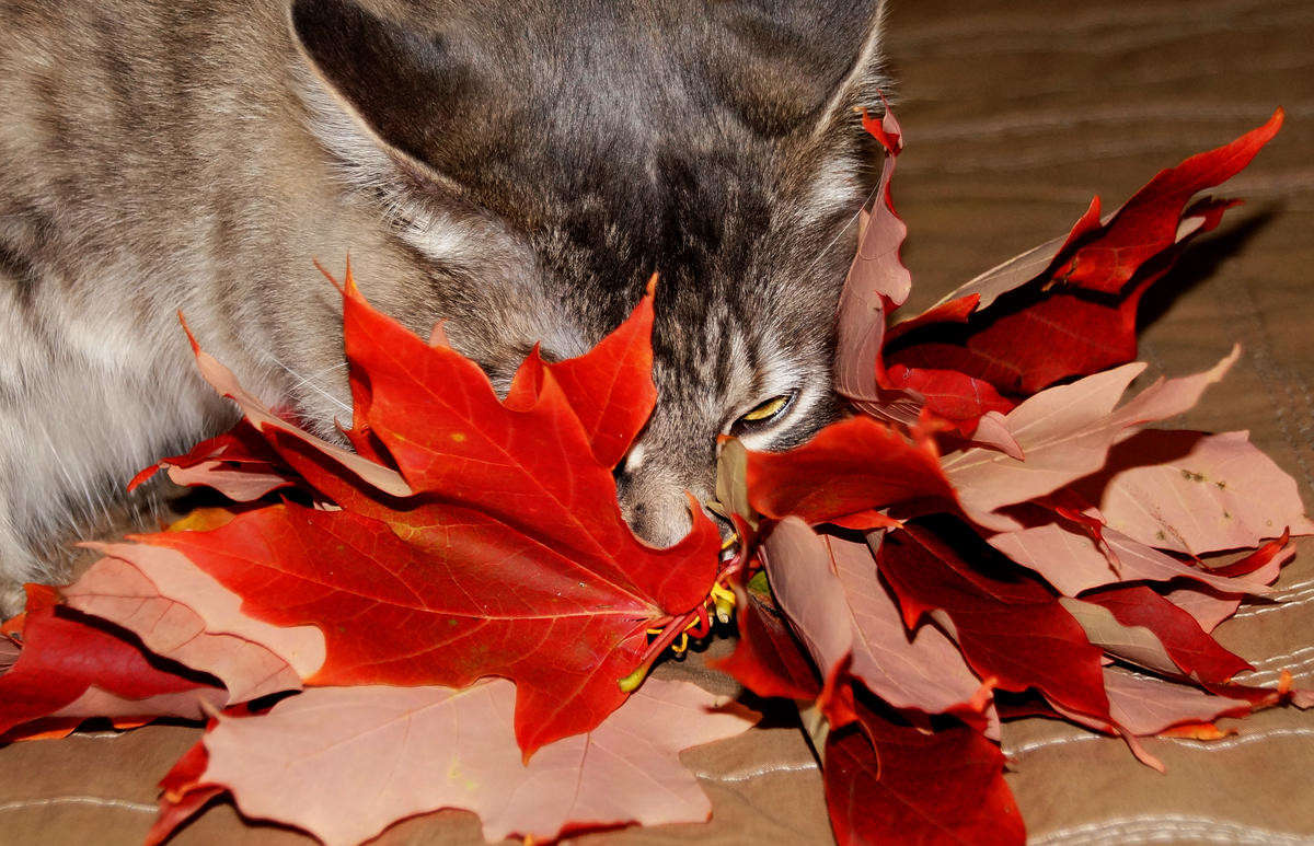 ������ �������� ����� �������  �� PhotoGeek.ru #�������� ���