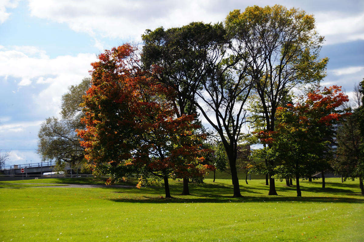 ��������� ������ ����� �������  �� PhotoGeek.ru #�����