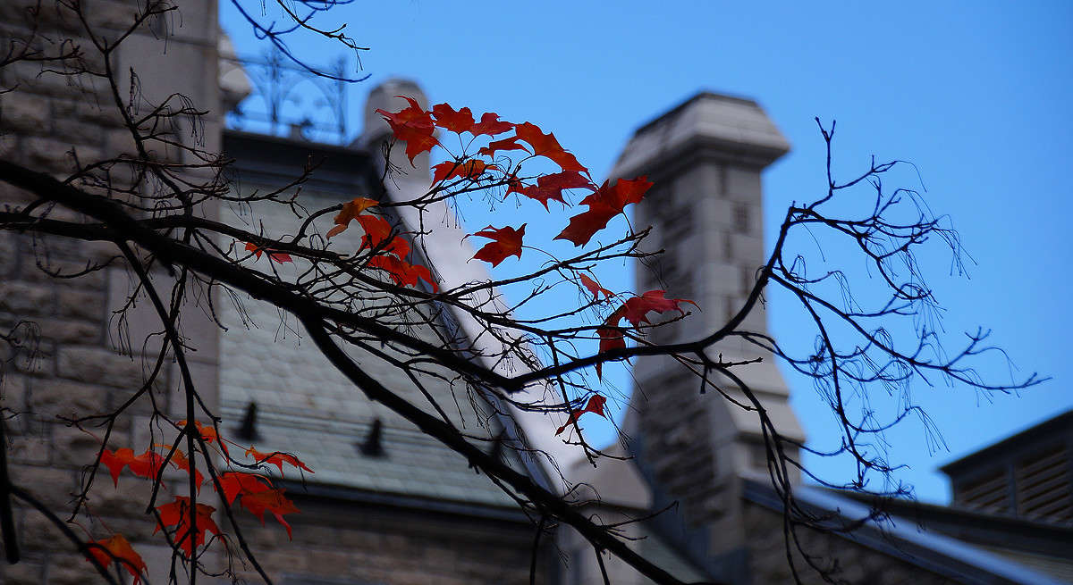 ��� ������� ��������� ����� �������  �� PhotoGeek.ru #�����