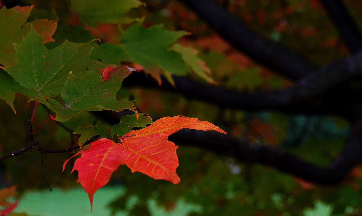 ������ ����� �������  �� PhotoGeek.ru #������ ��� �������