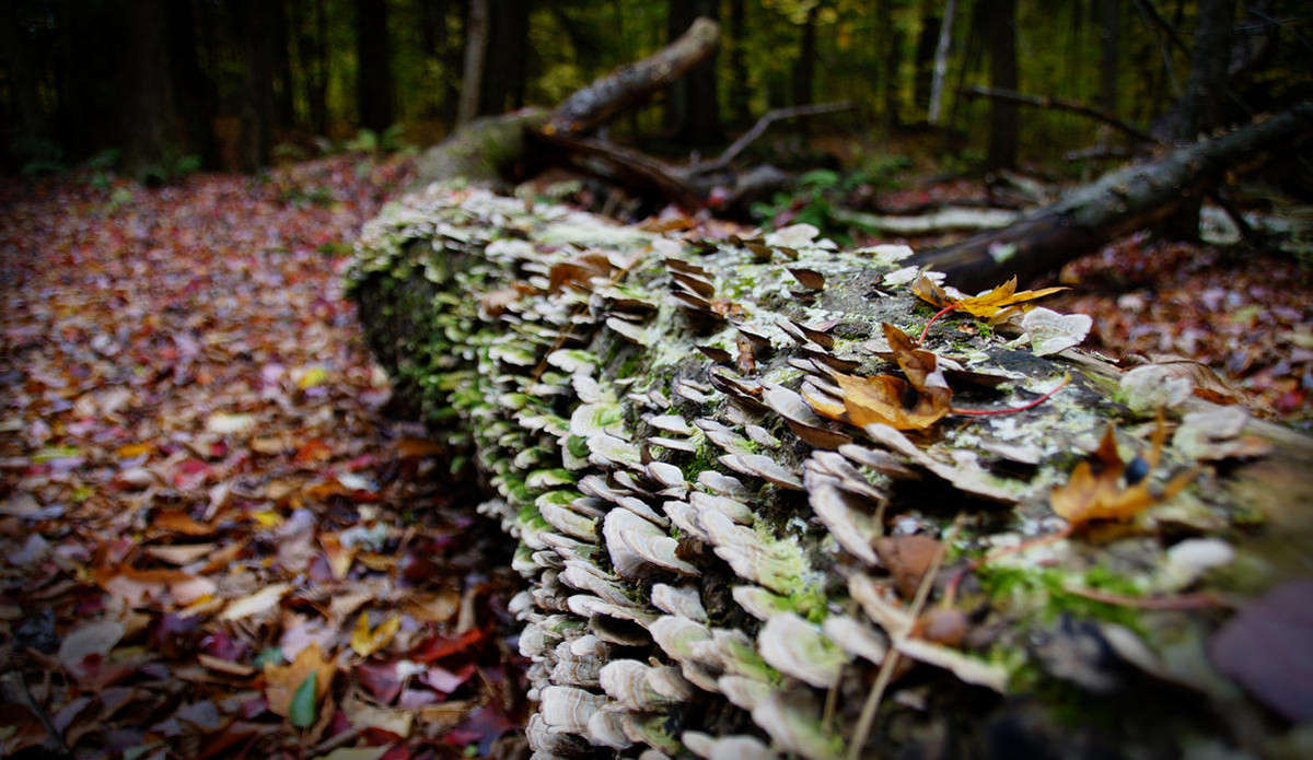 ���������� ����� �������  �� PhotoGeek.ru #������ ��� �������