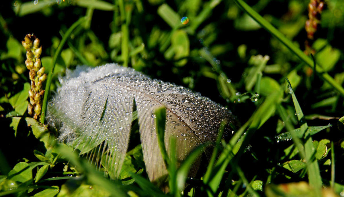 Банька после полёта / Банька после полёта / Фотография на PhotoGeek.ru