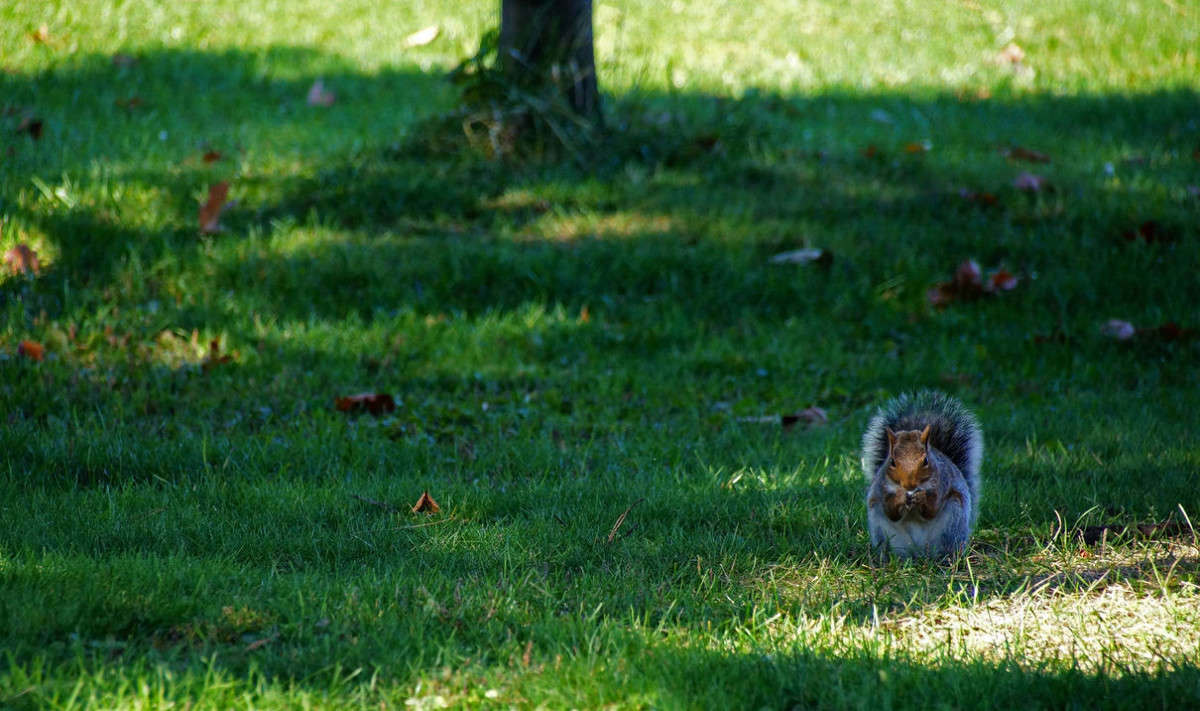 �� ���� ����� ����� �������  �� PhotoGeek.ru #�������� ����������