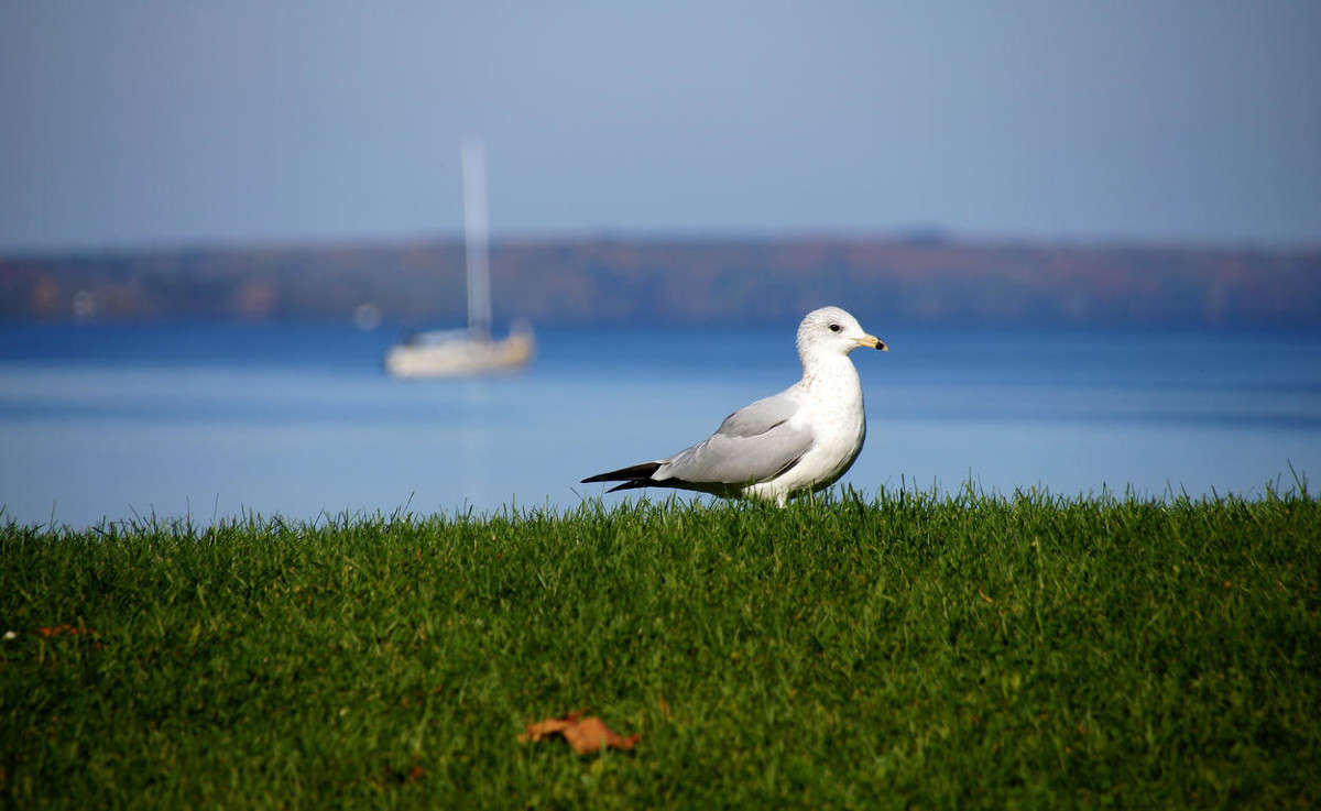 ������� ����� �������  �� PhotoGeek.ru #������ ��� �������