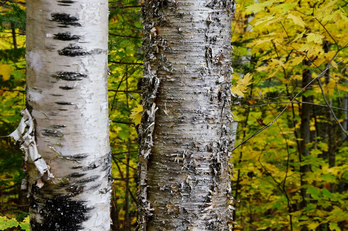 ������� � ������� ����� �������  �� PhotoGeek.ru #������ ��� �������