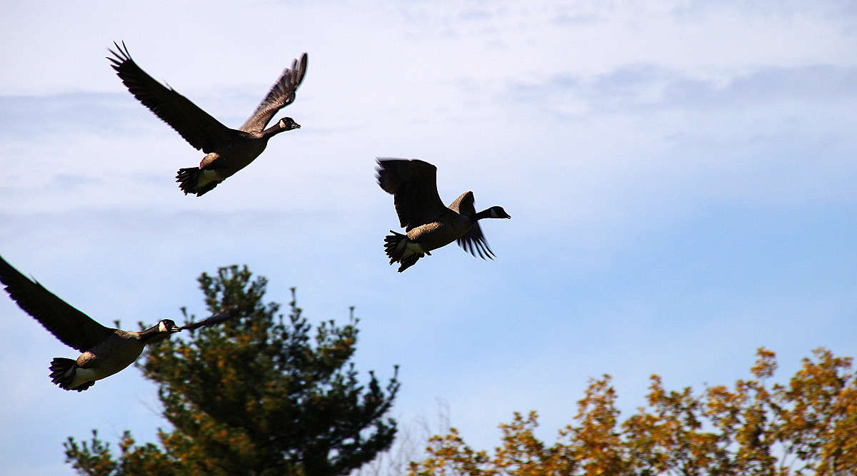 ����������� ����� �������  �� PhotoGeek.ru #�������� ���