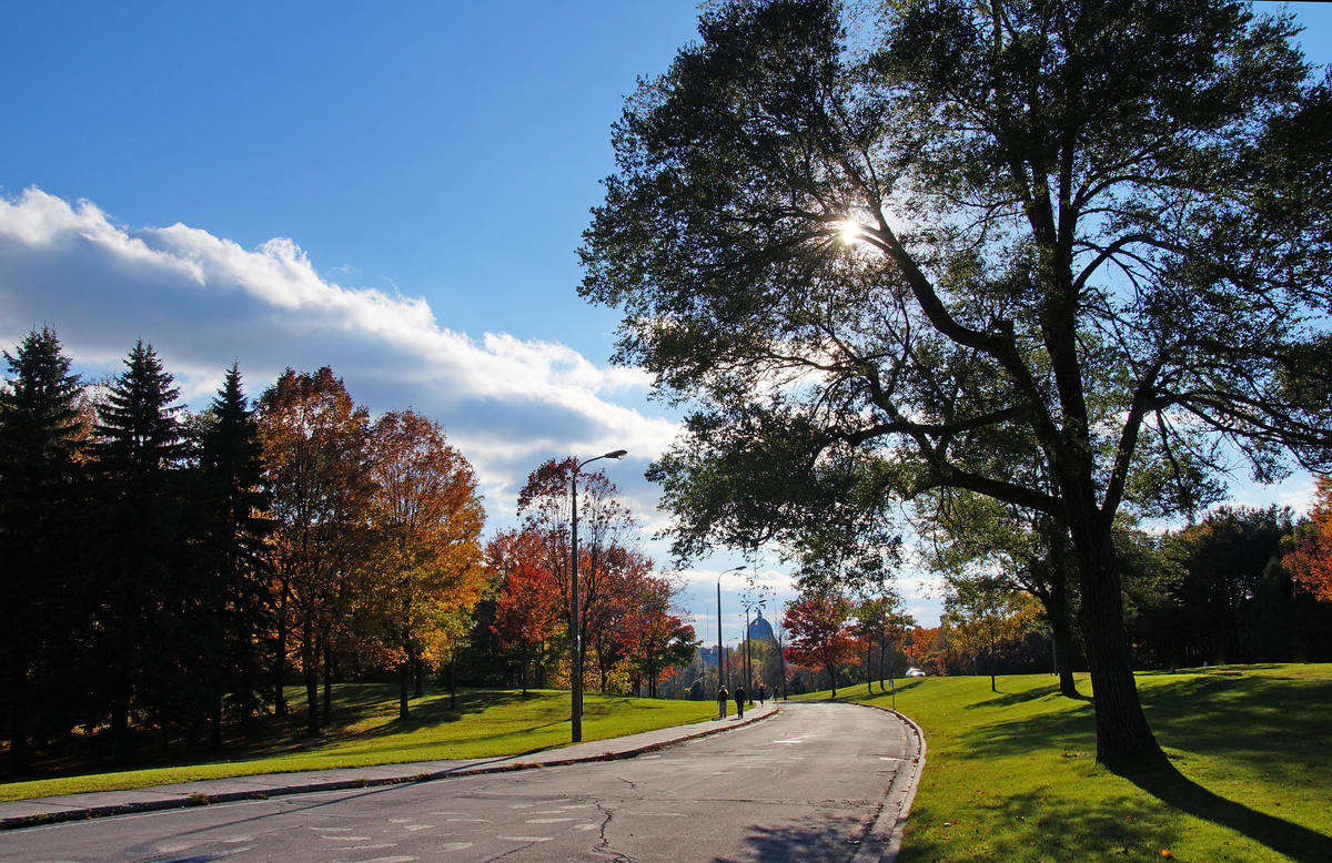 ���������� ����� ���-����� ����� �������  �� PhotoGeek.ru #�����