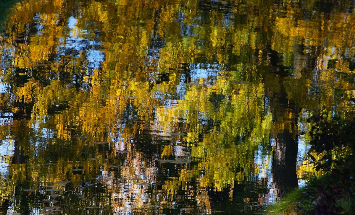 �� ������ ��������������� ����� �������  �� PhotoGeek.ru #������ ��� �������