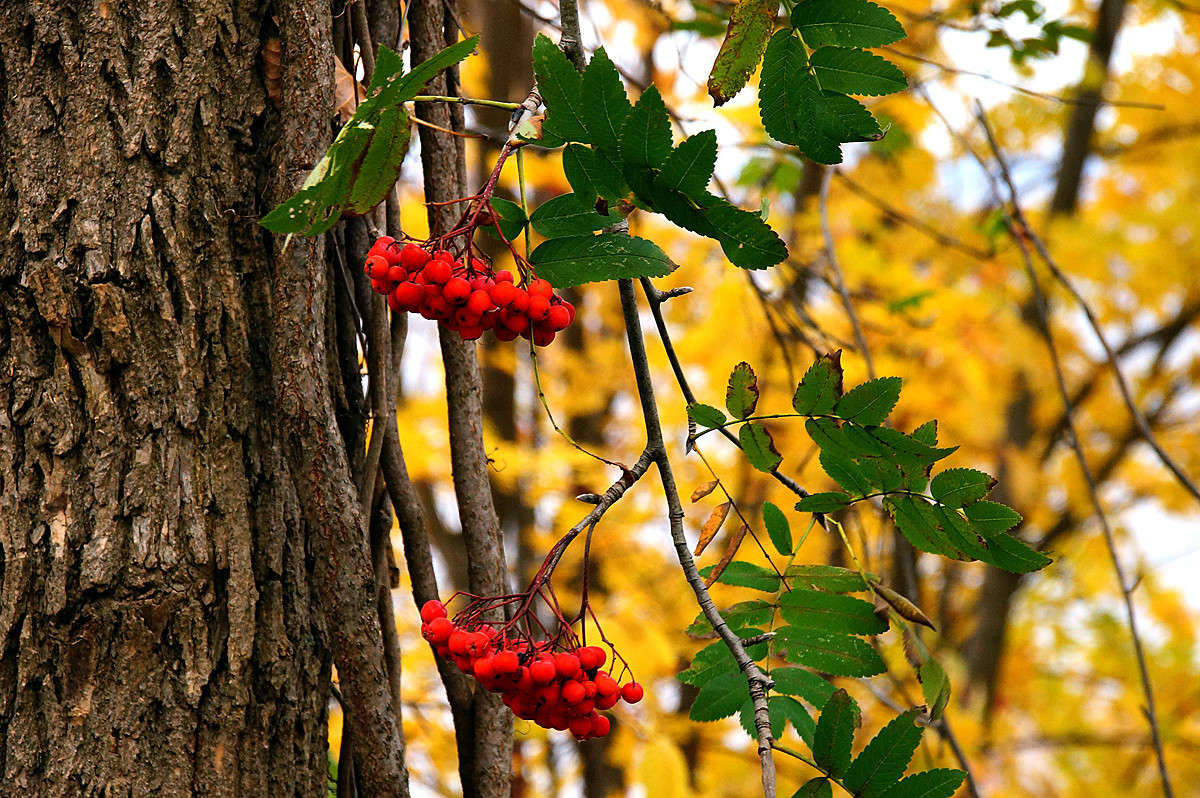���������� ����� ����� �������  �� PhotoGeek.ru #������ ��� �������