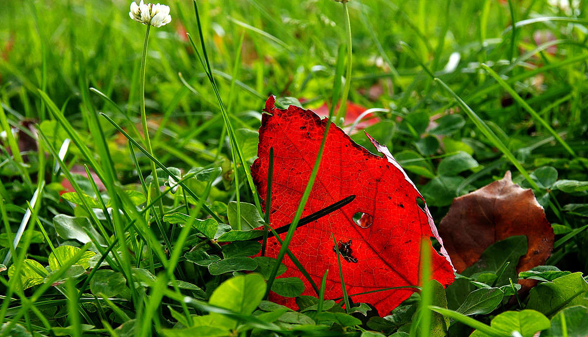 ��� � ��� ����� �������  �� PhotoGeek.ru #������ ��� �������