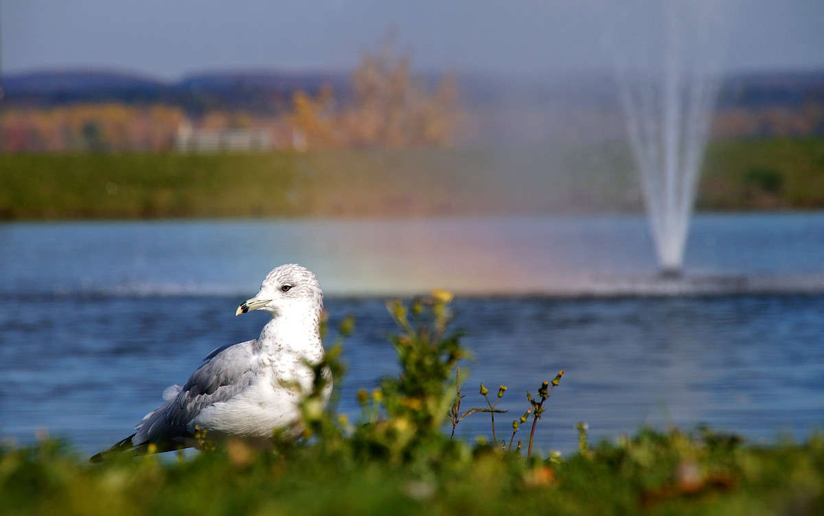 �������� ����� ����� �������  �� PhotoGeek.ru #������ ��� �������
