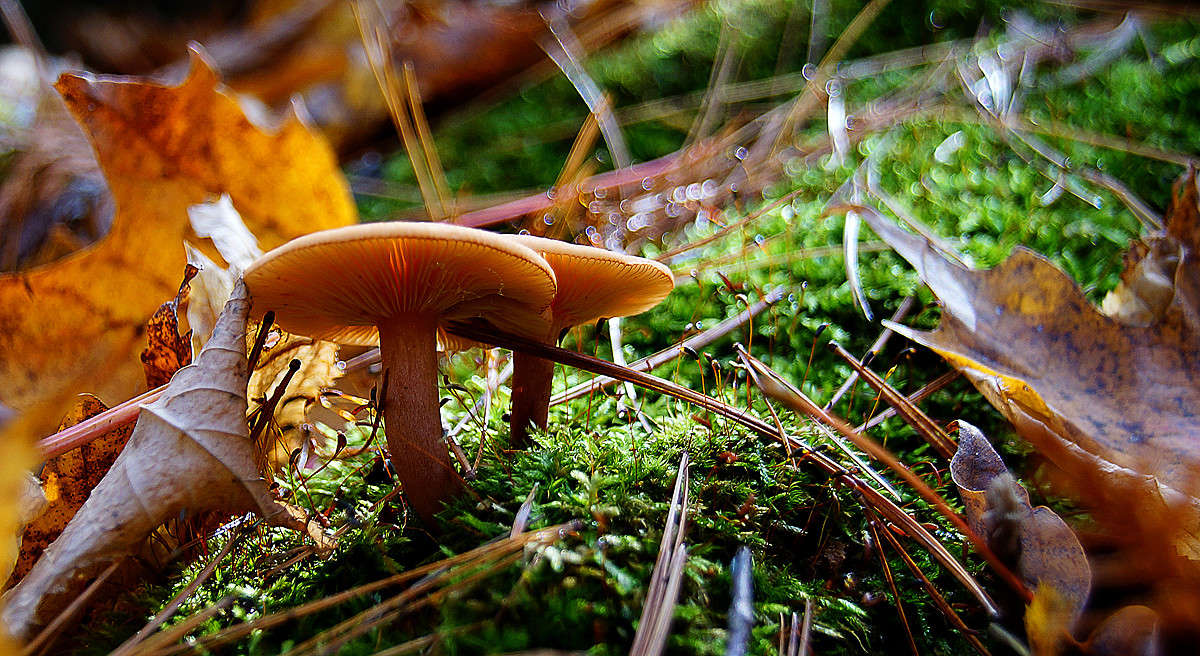 ����������� ����� �������  �� PhotoGeek.ru #������ ��� �������