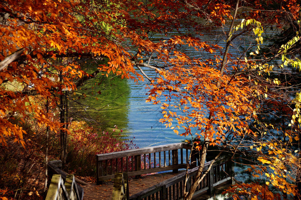 �����-����� ���� ����� �������  �� PhotoGeek.ru #������ ��� �������