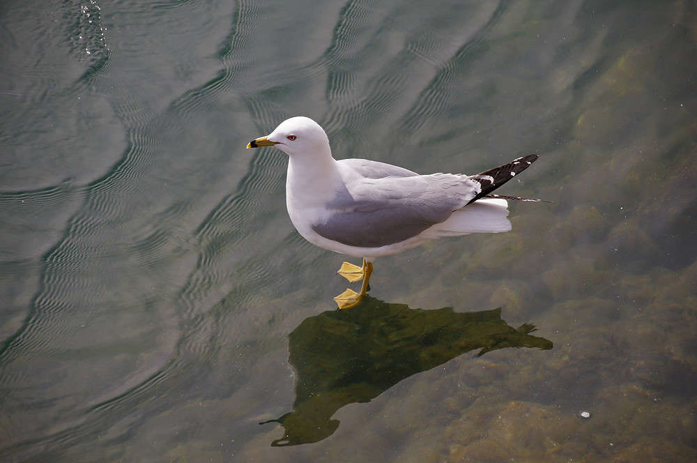 ���������� ��� ��� ����� �������  �� PhotoGeek.ru #�������� ���