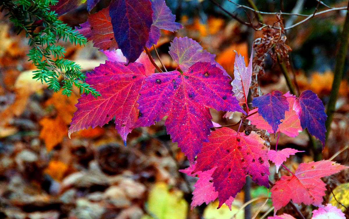 �������� ����� �������  �� PhotoGeek.ru #������ ��� �������