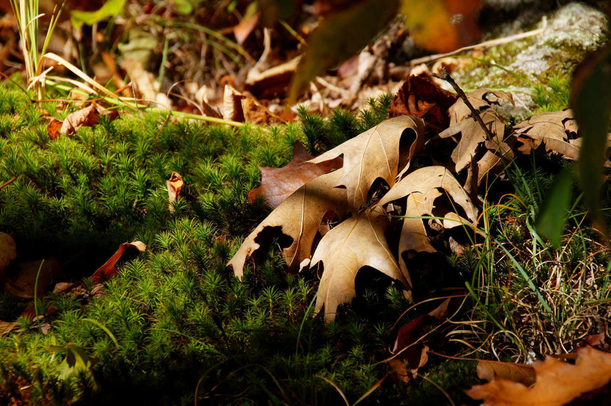 � ������� ���������� ����� �������  �� PhotoGeek.ru #������ ��� �������