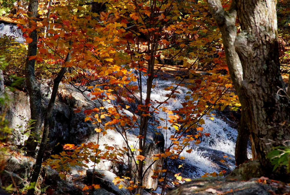 ������ ����� ����� �������  �� PhotoGeek.ru #������ ��� �������