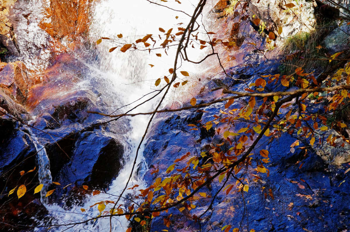 ������ ����� �������  �� PhotoGeek.ru #������ ��� �������