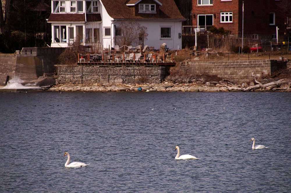 �� ����� �������� ����� �������  �� PhotoGeek.ru #�������� ���