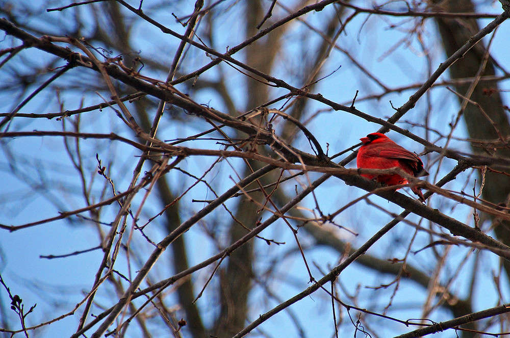 ���������� �� ������� ����� �������  �� PhotoGeek.ru #�������� ���