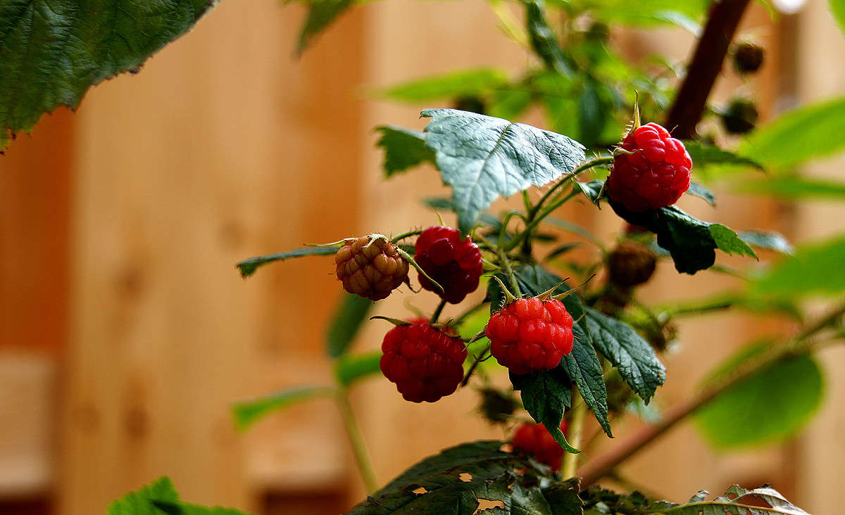�������� ������ ����� �������  �� PhotoGeek.ru #������ ��� �������