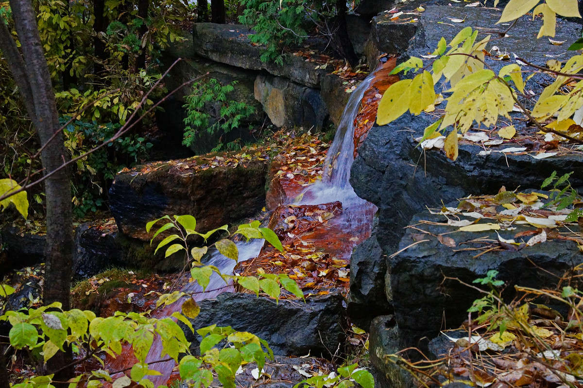 ��� ����� ����� ��������� ����� �������  �� PhotoGeek.ru #������ ��� �������