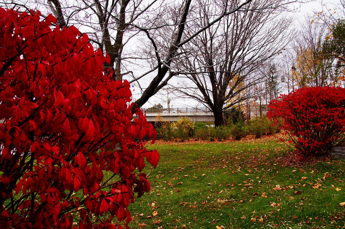 ����������� ����� �������  �� PhotoGeek.ru #�����