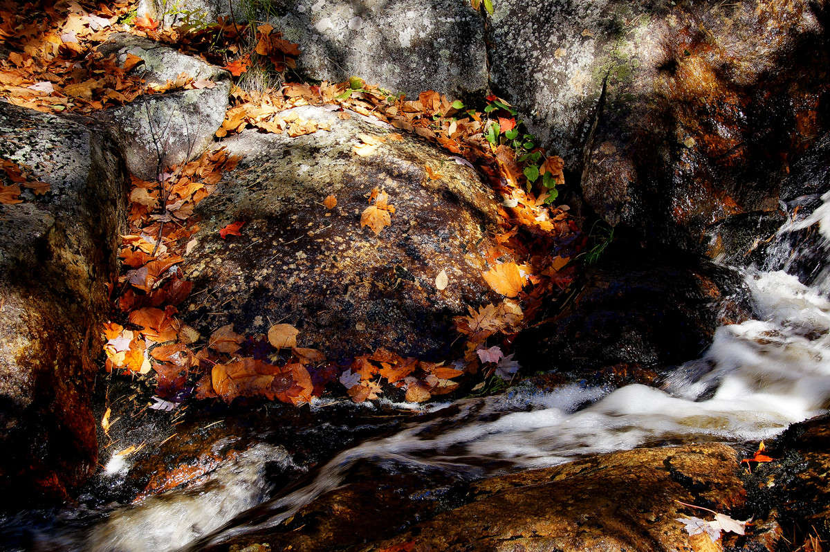������� ����� ����� �������  �� PhotoGeek.ru #������ ��� �������