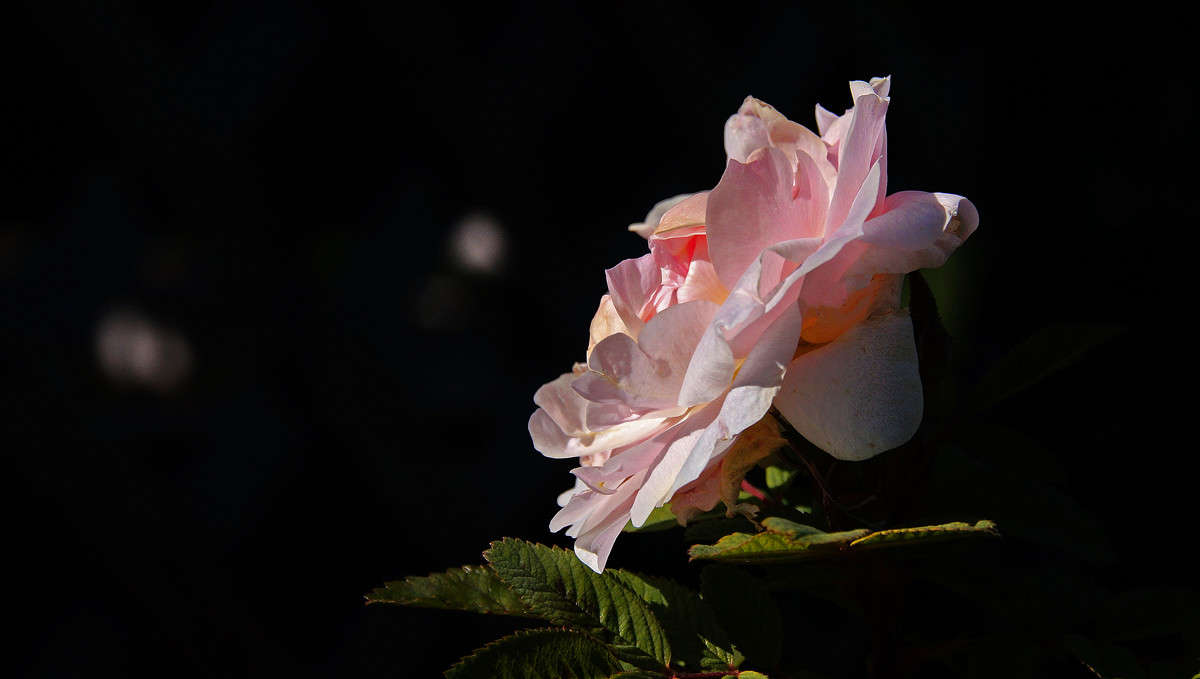 � ����� ������ ����� �������  �� PhotoGeek.ru #������ ��� �������
