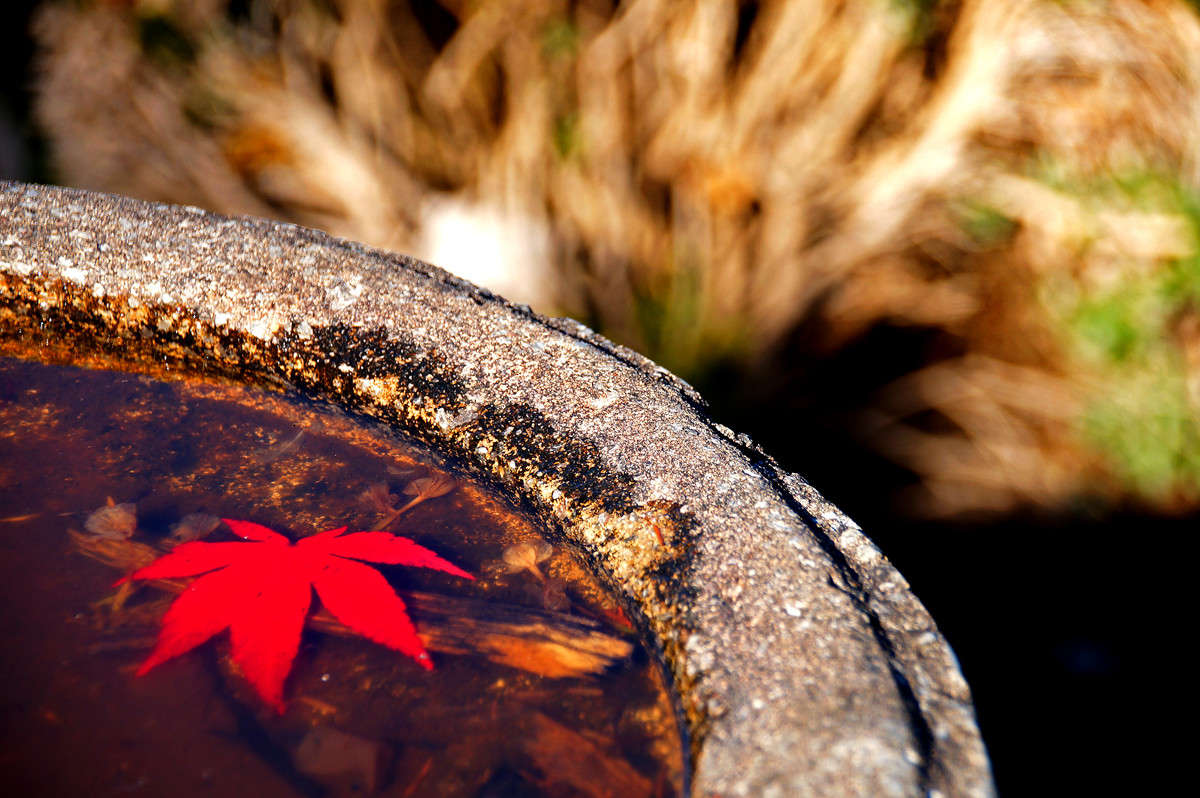 �������� ����� �������  �� PhotoGeek.ru #�����