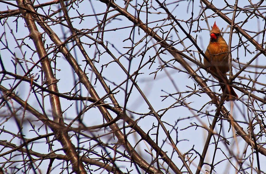 ����������� ����� �������  �� PhotoGeek.ru #�������� ��� #������ ��� �������