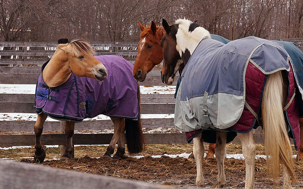 �������� ��������� ������ ����� �������  �� PhotoGeek.ru #�������� ���