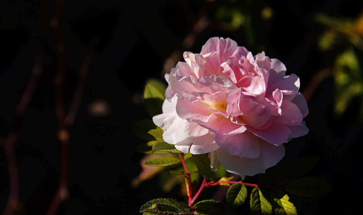 � ���������� ���������� ����� �������  �� PhotoGeek.ru #������ ��� �������