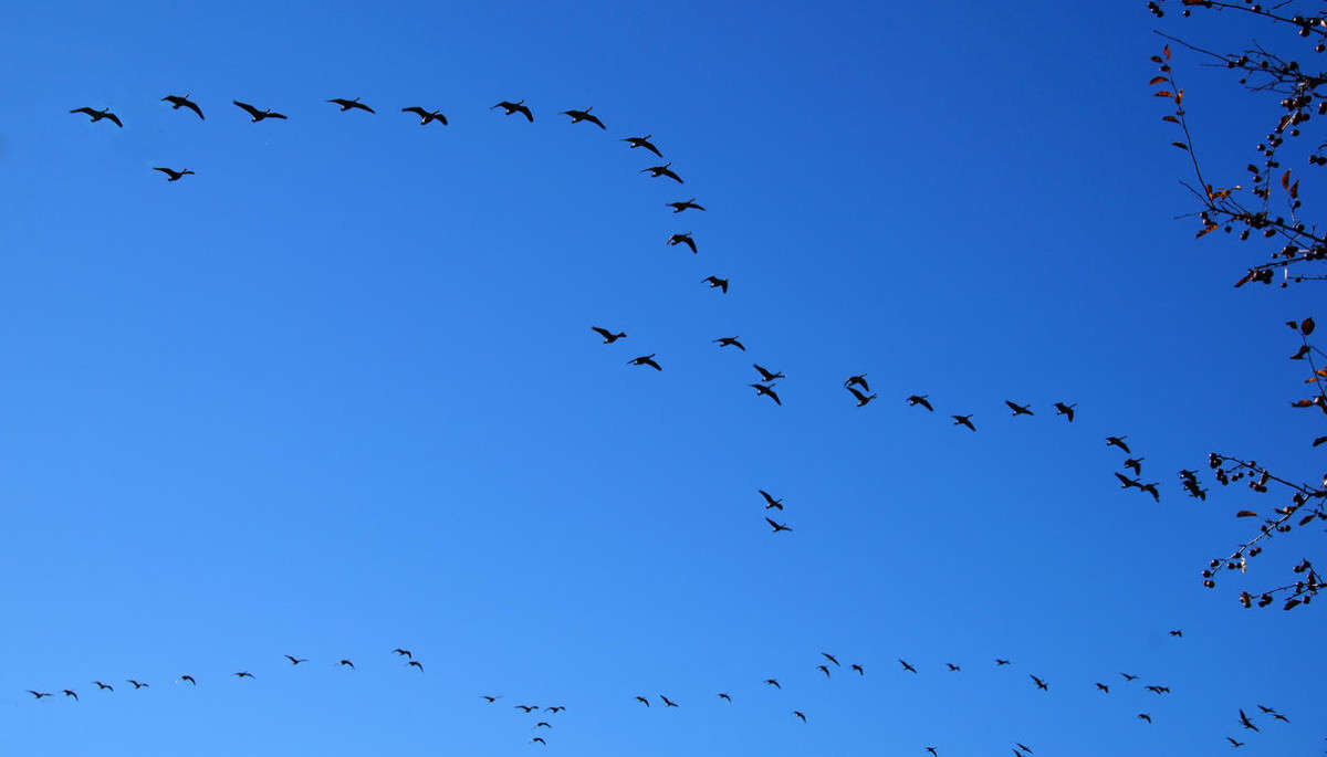 ����������� ����� �������  �� PhotoGeek.ru #�������� ���