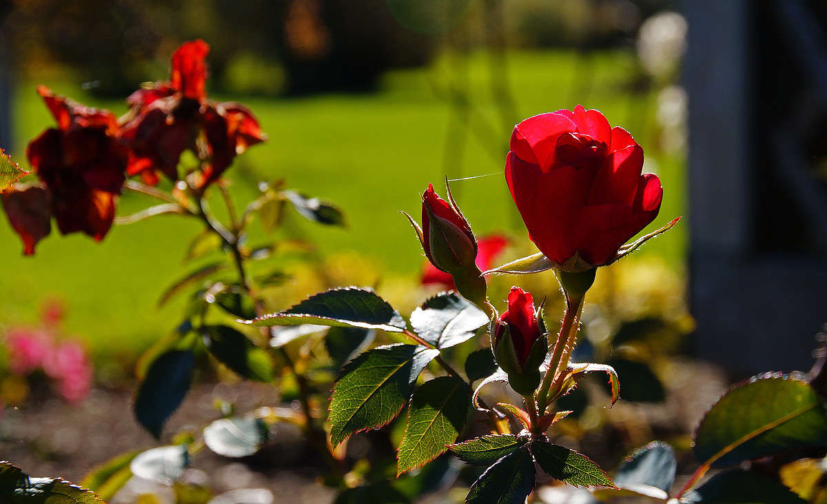 ������� ���� ����� �������  �� PhotoGeek.ru #������ ��� �������